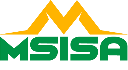 Msisa Property Logo